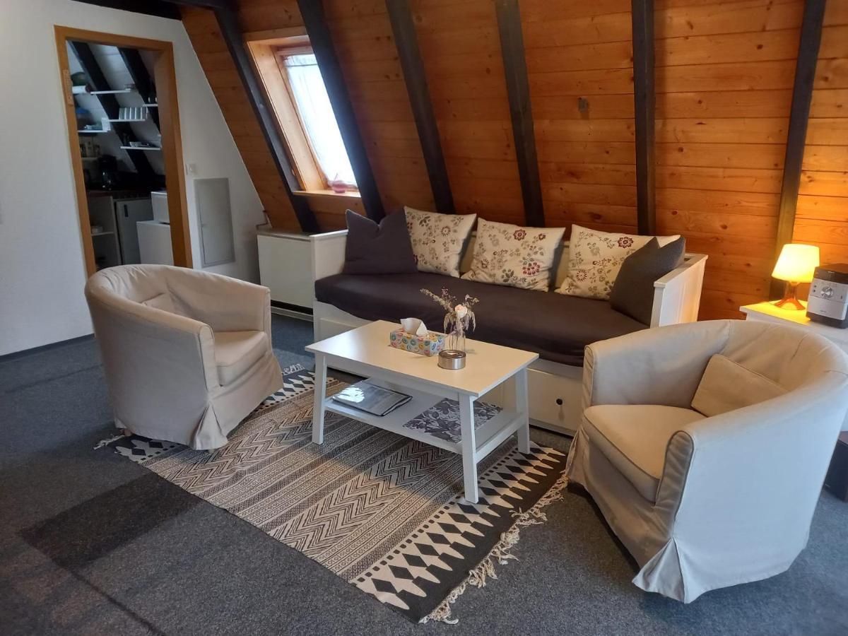 Gemuetliches Ferienhaus Mit Sonniger Terrasse Frankenwald Naehe Badesee Smart-Tv Lichtenberg  Экстерьер фото